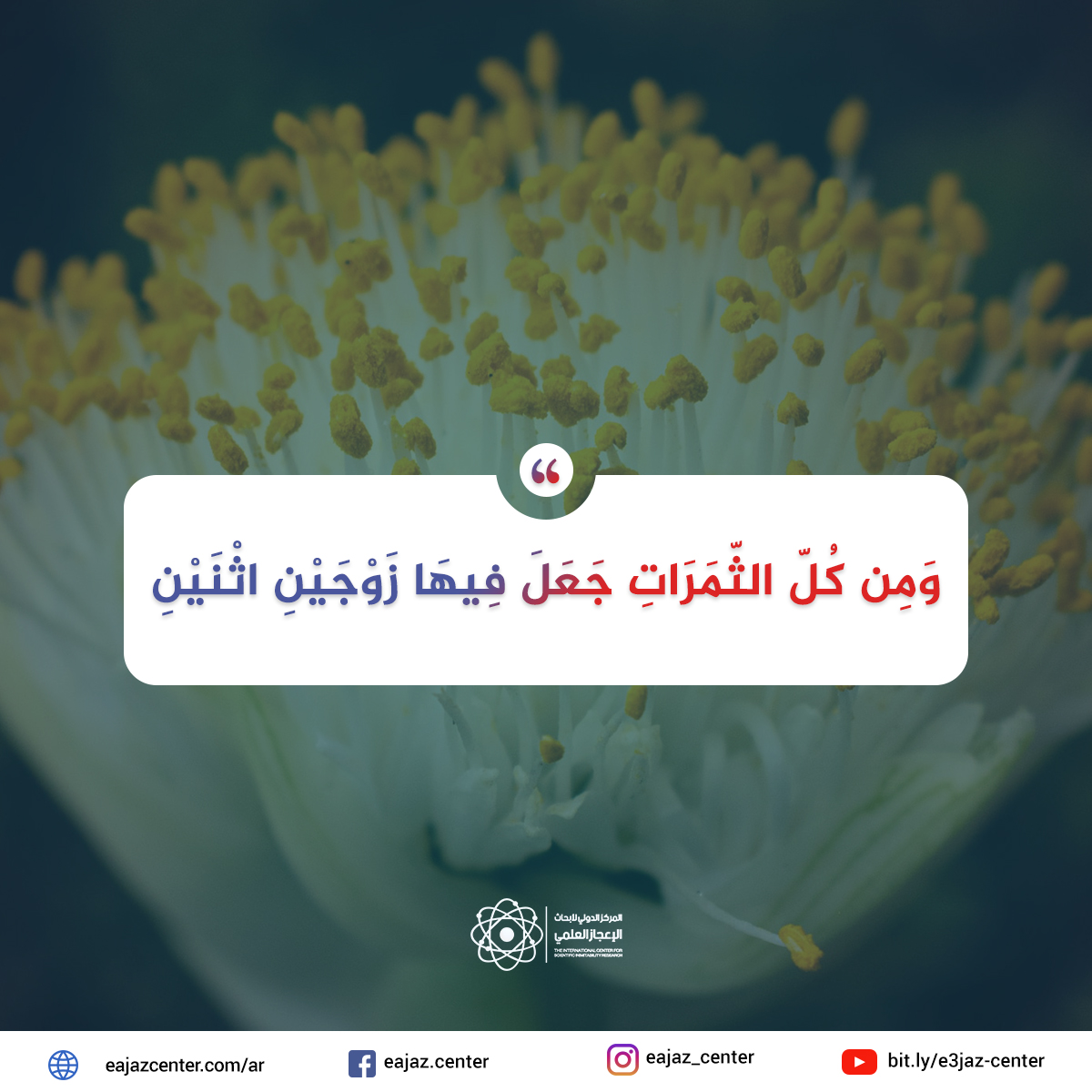 وَمِن كُلّ الثّمَرَاتِ جَعَلَ فِيهَا زَوْجَيْنِ اثْنَيْنِ