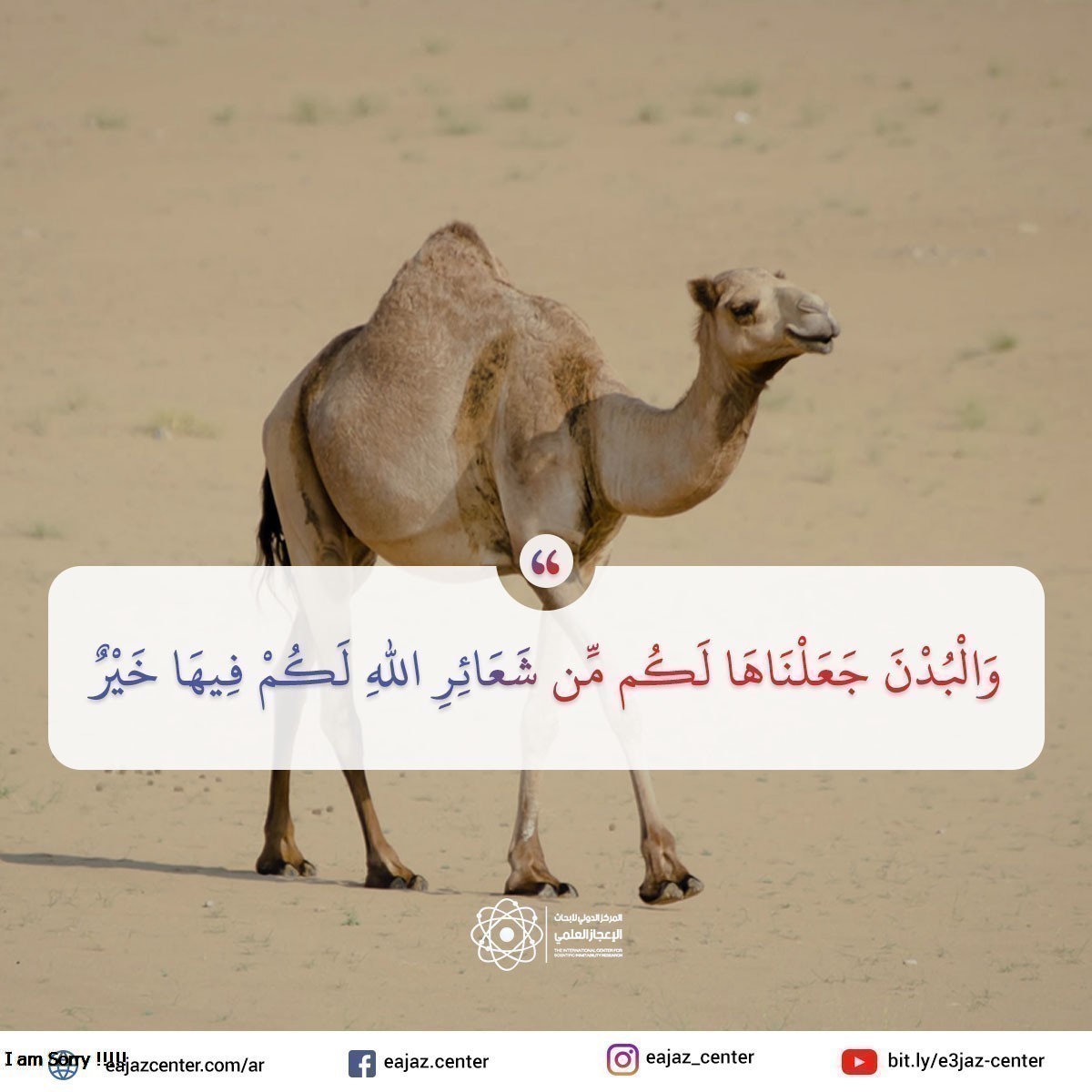 وَالْبُدْنَ جَعَلْنَاهَا لَكُم مِّن شَعَائِرِ اللَّهِ لَكُمْ فِيهَا خَيْرٌ