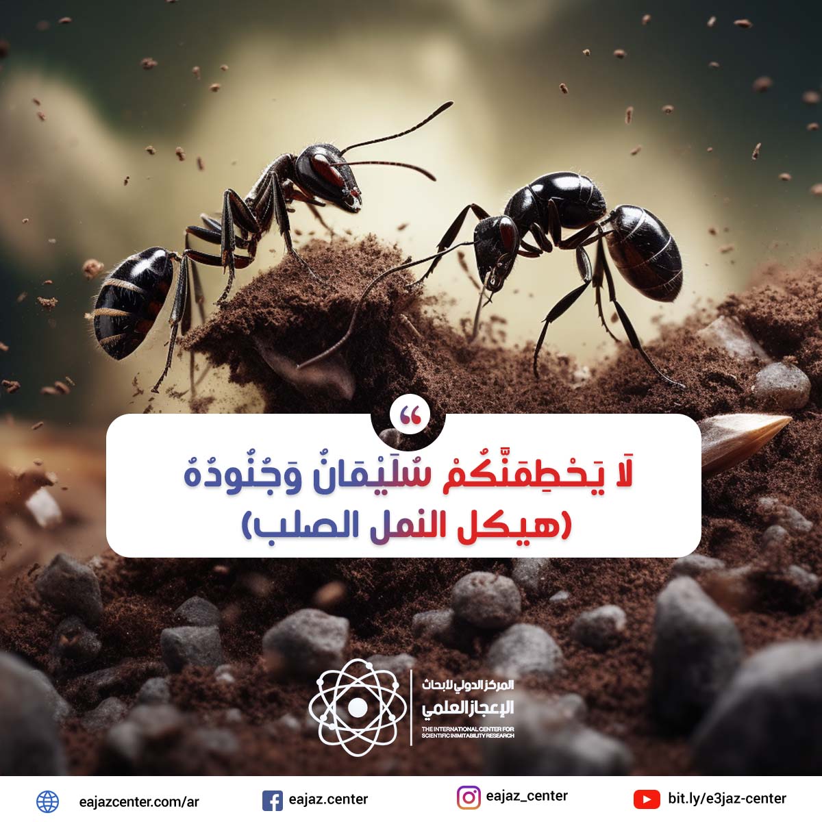 لَا يَحْطِمَنَّكُمْ سُلَيْمَانُ وَجُنُودُهُ ( هيكل النمل الصلب )