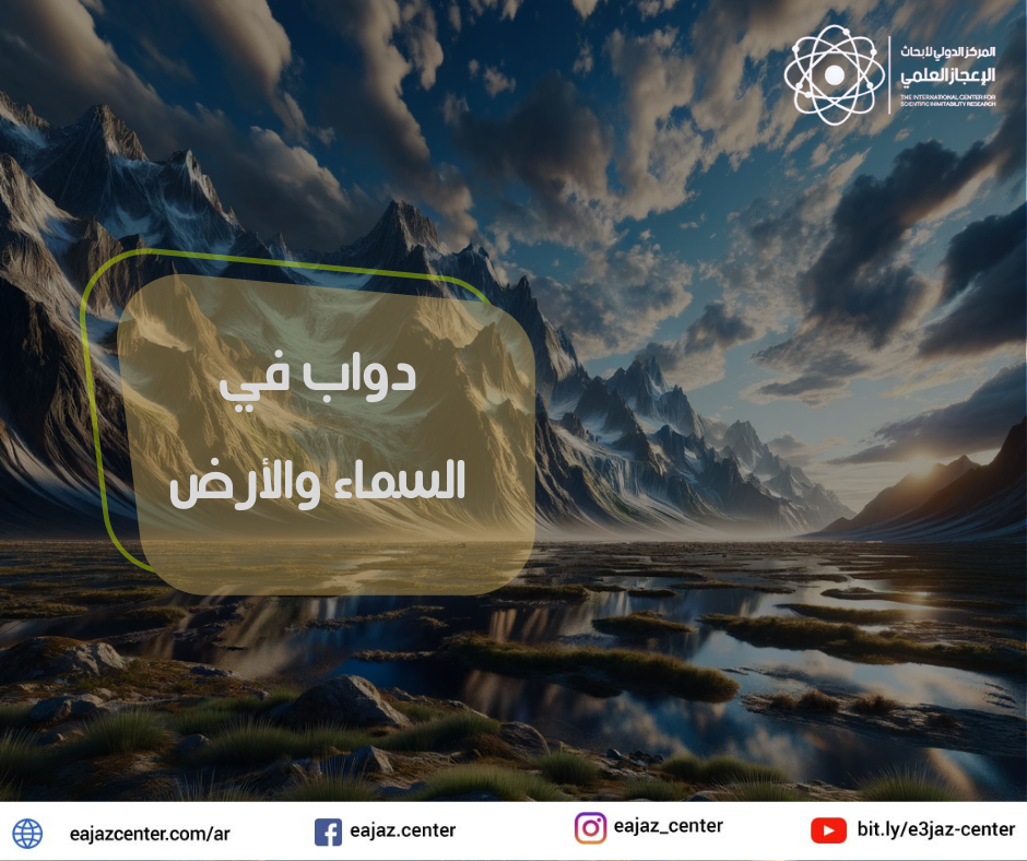 دواب في السماء والأرض